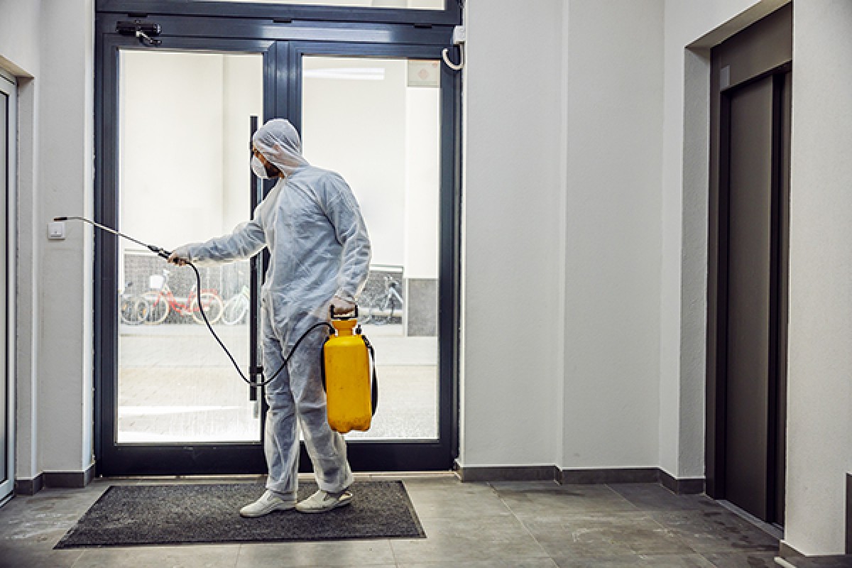 Exterminator in an office building