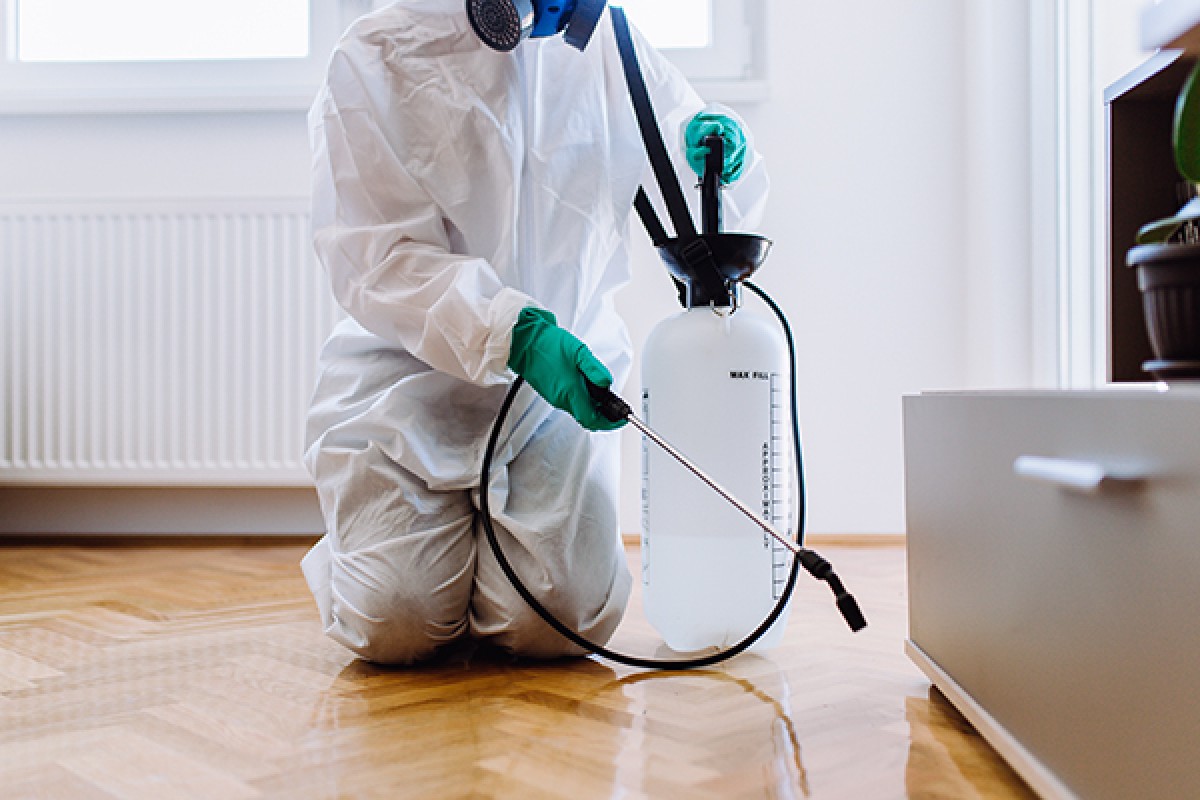 Exterminator spraying inside a house